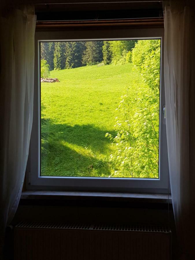 Ferienhaus Lyhs Fehrenbach المظهر الخارجي الصورة